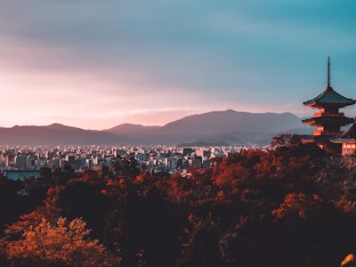 Blue and White Prunus Vase with Interlocking Lotus Pattern 预览图